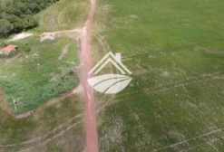Arrendamento Agrícola – 1.700 Hectares em Palmas/TO