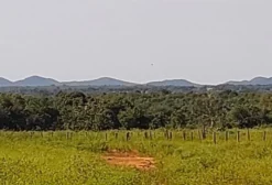 Fazenda em Arrendamento para Produção de Grãos em Talismã – TO