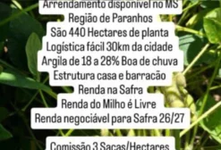 Fazenda para Arrendamento em Paranhos – MS | 440 Hectares