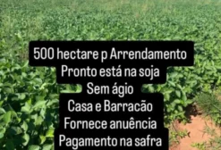 Fazenda de 500 hectares para Arrendamento em Amambaí, MS