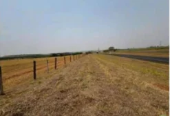 Chácara de 20.000 m² em Cedral/SP – Leilão Extrajudicial