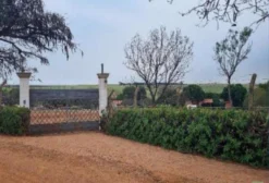 Chácara Rural em Leilão – 77.202m² em Indaiatuba/SP