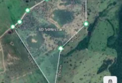 Área Rural de 60 Hectares Totalmente Regularizada em Sidrolândia, MS