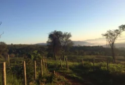 Chácaras com Vista Deslumbrante em Itatiaiuçu - MG