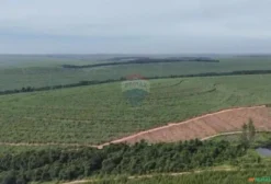 Fazenda para Agricultura com 98 Alqueires em Pederneiras/SP