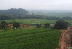 Fazenda Agrícola de 18 Hectares em Cajuru, SP – Renda Mensal Garantida