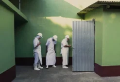 Frigorífico de Suínos com Inspeção Estadual – Capacidade para 2.500 a 5.000 Cabeças/Mês