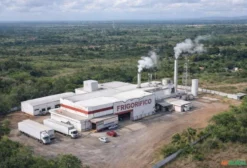 Frigorífico Operacional de Alta Eficiência à Venda em São Luís – MA