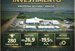 Frigorífico com SISB à Venda em Inhumas/GO – Capacidade para 280 Cabeças
