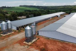 Granja em Plena Produção com 12 Hectares em Cerquilho - SP