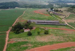 Granja e Propriedade Rural de 14,9 Hectares com Estrutura para Avicultura em Itapira/SP