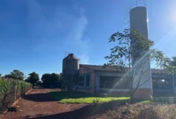 Granja de Suínos à Venda em Santa Terezinha (Itaporã) – MS – Capacidade para 2.900 Animais em Terminação