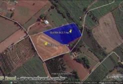Granja de Aves em Santo Antônio de Posse - SP - 6,07 hectares com Estrutura Completa