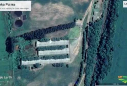 Granja de Matrizes Suínas com 600 Animais em Produção - Santo Antônio do Palma/RS