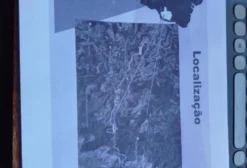 Jazida de Minério de Ferro Licenciada – 1.006 Hectares em Minas Gerais