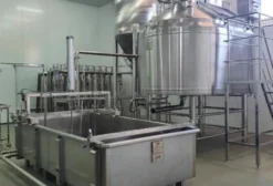 Laticínio em Operação em Queluzita/MG – Capacidade 60.000 L/dia com Potencial de Expansão para 150.000 L/dia