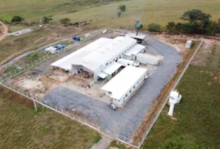 Laticínio Industrial à Venda em Piumhi-MG – Região da Serra da Canastra