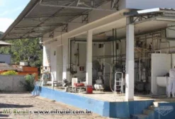 Laticínio Completo com SIF para Alugar em Guiricema, MG