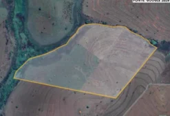 Sítio de 41 Hectares em Suzanápolis – SP à Venda
