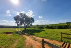 Sítio em Iacanga/SP com 6,18 Alqueires (15 ha) – Pasto, Rio e Documentação em Dia