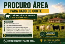 Procuro Área de 06 a 50 Hectares para Gado de Corte em Passos MG