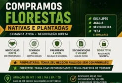 Compramos Florestas Nativas e Exóticas Plantadas – Demanda Imediata