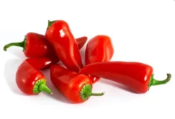 Pimenta Jalapenho Iberaba - Capsicum frutescens - Sementes
