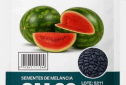 Sementes de Melancia SM22 – Alta Produtividade – Embalagem com 1000 Sementes