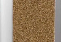 Semente de Milheto de Alta Germinação para Pastagens e Cobertura de Solo - Maracaju/MS
