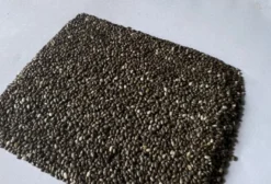 Chia Premium com Laudo de Qualidade e Certificados – Venda no Atacado em Sete Quedas/MS