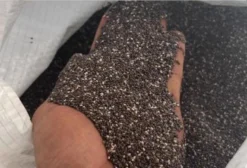 Semente de Chia Premium Safra 2025 – Venda por Quilo (a partir de 1000 kg)