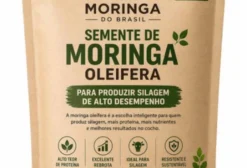 Sementes Moringa Oleifera - 1Kg