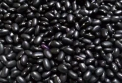 Feijão Preto Orgânico a Granel - 1.000 kg