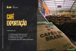 Café Arábica e Conilon para Exportação - Atacado em Santos/SP