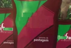 Sementes de Pastagem de Alta Qualidade em Campo Grande/MS