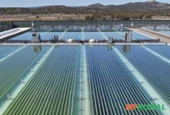 Captação de Investimentos para Produção de Superalimento em Juiz de Fora - MG