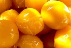 Sementes de Ameixa Mel Dourado (Prunus Domestica Golden Honey) - Alta Taxa Germinativa