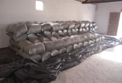 Silagem de Milho Integral Premium para Gado - Preço por Tonelada