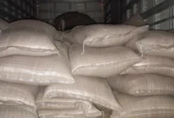 Farelo de Arroz 30kg para Nutrição Animal - Macapá/AP