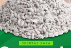 Caroço de Algodão para Nutrição Animal – Venda por Tonelada em Caculé/BA