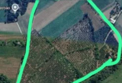 Fazenda à Venda em Jaceruba - RJ | 26 Hectares com Produção Ativa
