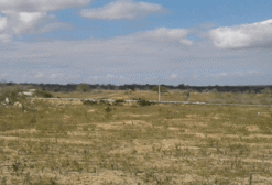 Loteamento Aprovado em Soledade - PB | 9 Hectares com 316 Lotes | Oportunidade MCMV