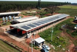 Área Rural com Infraestrutura Industrial e Galpões para Armazenagem e Logística - Cerqueira César/SP