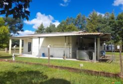 Laticínio Completo Cut Cut à Venda em Ponta Porã – MS