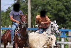 Cavalo de Esteira 7 Anos – Teresina/PI