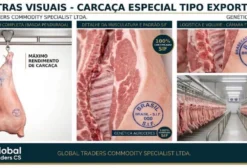 Carcaça Suína em Londrina PR