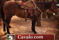 Cavalo Puro Quarto de Milha Registrado – Pronto Para Team Roping