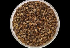 Semente de Trigo Mourisco IPR 92 Altar (Fagopyrum esculentum) – R$ 2,80/unidade – Pato Branco/PR