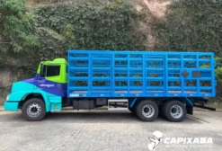 Carroceria Truck Gaiola para Transporte de Gás Botijão P13 - 480 Botijões