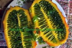 Sementes de Kiwano (Melão Africano) - Pacote com 15 Unidades